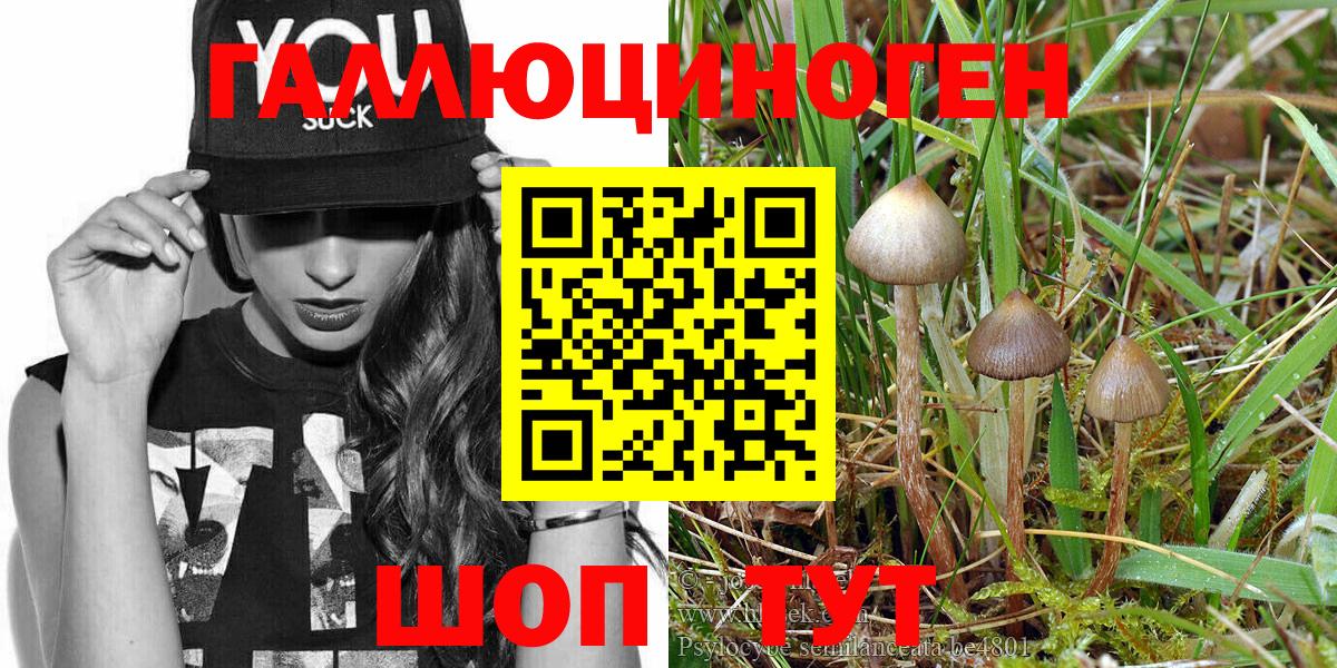 Псилоцибиновые грибы Psilocybine cubensis Нефтекамск